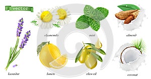 Medicinal plants and flavors, chamomile, mint, lavender, lemon, almonds, coconut, olive oil. 3d realistic vector icon set