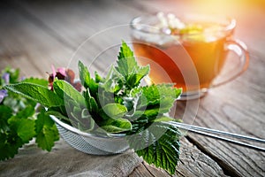 Medicinal plants and herbs in tea infuser, healthy herbal tea cup.