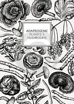 Medicinal plants and mushrooms hand-sketched illustration. Adaptogenic herbs backdrop. Botanical sketches for traditional medicine