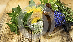 Medicinal plants oil bottle, alternative medicine