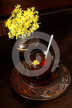 Medicinal plants - St. John's wort flowers Hypericum perforatum