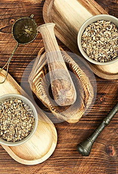 Medicinal root of elecampane