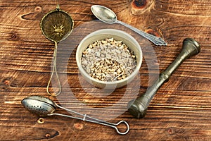 Medicinal root of elecampane