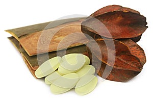 Medicinal Terminalia arjuna with pills