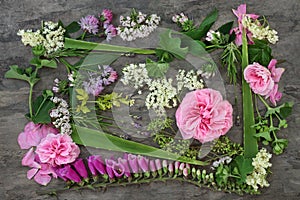 Medicnal Herbs and Flowers