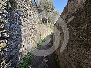 Medieval alley of Sant Ilario Genoa Italy photo