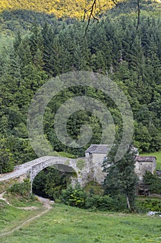 Medieval arch bridge in Giumella, National park Foreste Casentinesi, Campigna, Italy