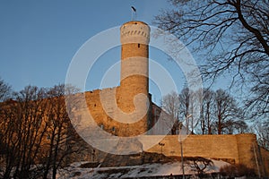 Medieval Baltic castle and Tall or Pikk Hermann Tower