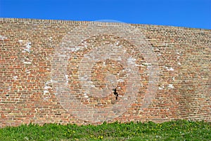 Medieval Brick Wall Kalemegdan, Belgrade