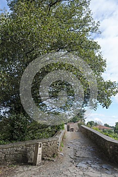 Medieval bridge in Furelos, Galicia Spain photo