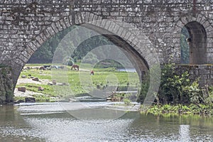 Medieval bucolic scene by the river photo