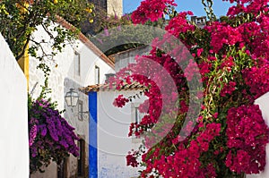 Medieval Buildings and Bougainvillea Flowers in Obidos, Portugal