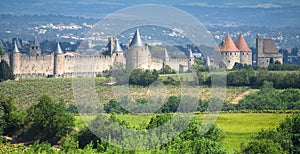 Medieval Carcassone with Vineyards - France photo