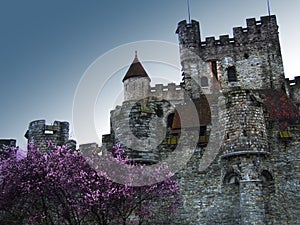 Medieval castle