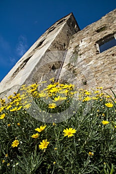 Medieval castle