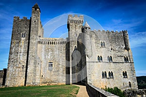 Medieval castle along Dordogne river