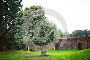 Medieval castle architectural details