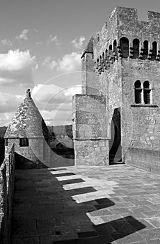 Medieval Castle Black & White