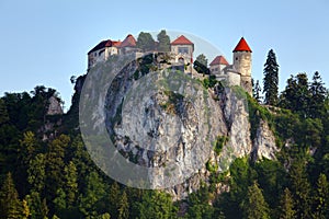 Medieval castle of Bled