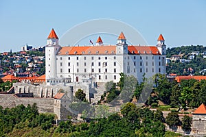 Středověký hrad