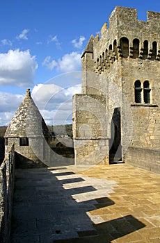 Medieval Castle Photo