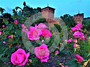Medieval Castle of Valentine Park in Turin city, Italy. Art, history, fairytale and pink roses 