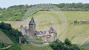 Medieval castle with vineyards in the background