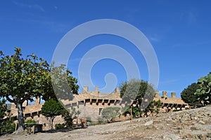 Medieval castle wall on a hill