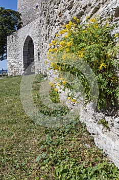 Medieval Castle Wall in Visby, Gotland, Sweden