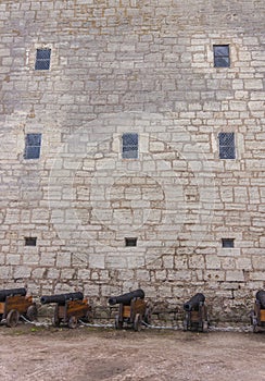 Medieval castle wall and cannons