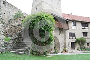 Medieval castle yard