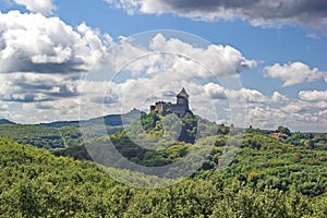 Medieval castles surrounded by green forests