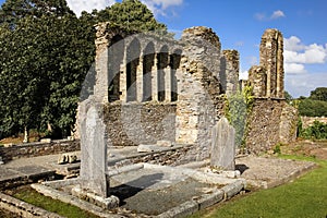 Medieval Cathedral. Ferns. co Wexford. Ireland