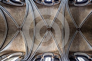 Medieval Cathedral vault ceiling