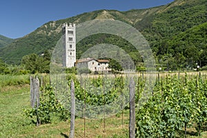 Medieval church at Diecimo, Lucca