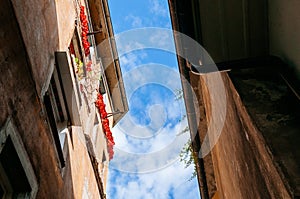 Medieval classic building with flower window against blue skyin