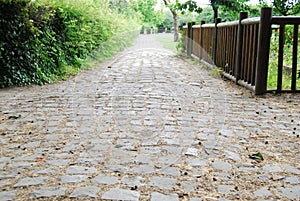 Medieval cobblestone footpath in Saint Denis park photo