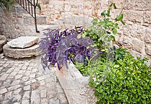 Medieval Courtyard, Trogir, Croatia