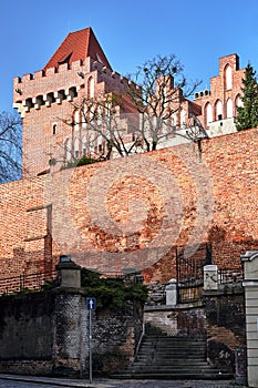 Medieval defensive wall and stone stairs at the royal castle