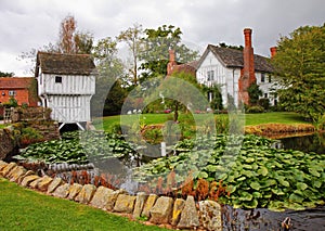 Medieval English Manor and Garden