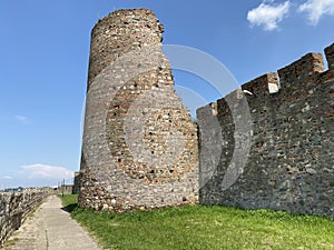 Medieval fortified city Smederevo fortress or Smederevo`s 15th century fortress / Smederevska tvrÄ‘ava ili Smederevska utvrda