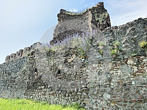 Medieval fortified city Smederevo fortress or Smederevo`s 15th century fortress / Smederevska tvrÄ‘ava ili Smederevska utvrda