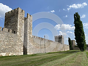 Medieval fortified city Smederevo fortress or Smederevo`s 15th century fortress / Smederevska tvrÄ‘ava ili Smederevska utvrda