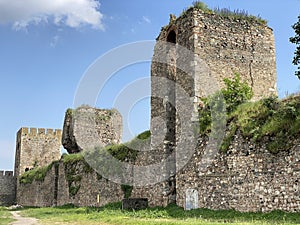 Medieval fortified city Smederevo fortress or Smederevo`s 15th century fortress / Smederevska tvrÄ‘ava ili Smederevska utvrda