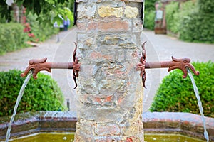 Medieval fountain double snapdragon symmetric, concept of twins