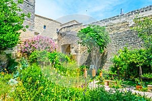 Medieval garden in the french city Uzes photo