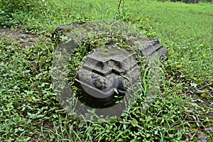 medieval graveyard at vasai fort, maharashtra