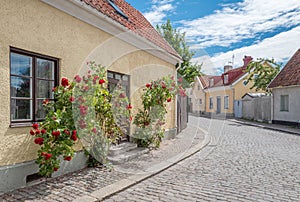 Medieval Hanse town Visby on Gotland photo