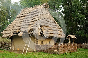 Medieval house with straw roof