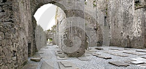 Medieval Irish abbey ruins